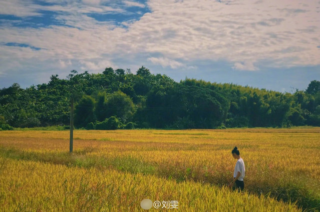 第1張圖片