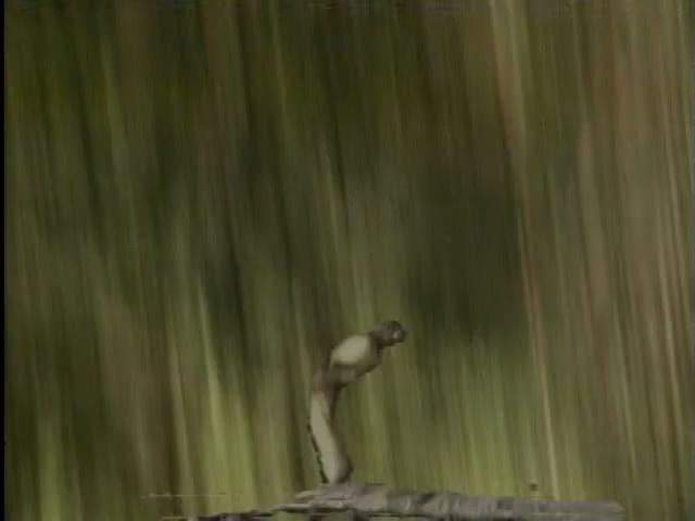 第1張圖片
