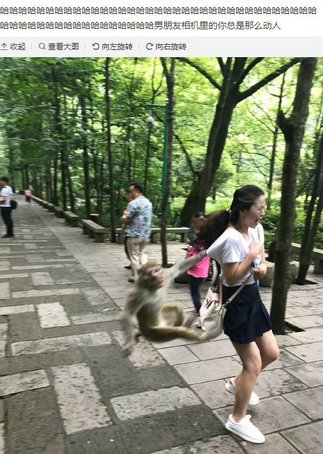 第1張圖片