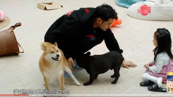 第1張圖片