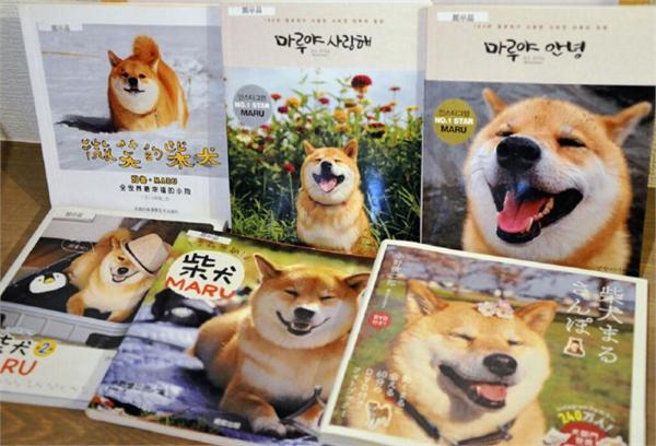 第1張圖片