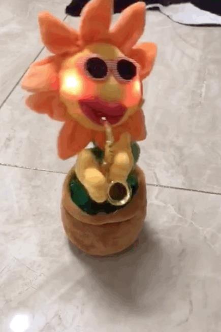 第1張圖片