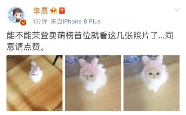 第1張圖片