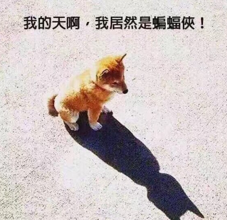 第1張圖片