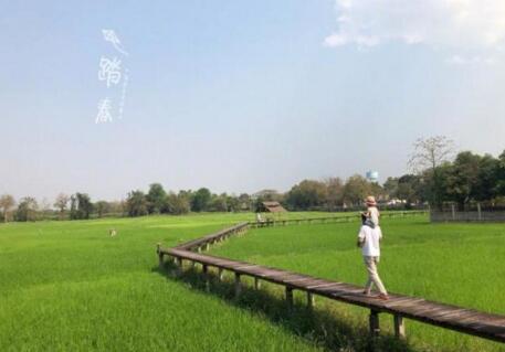 第1張圖片
