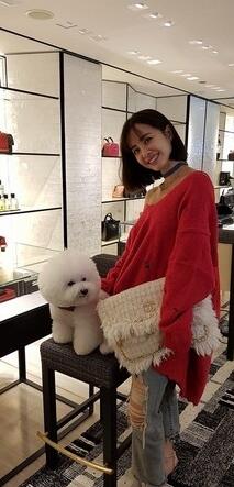 第1張圖片