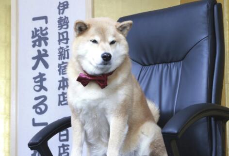 第1張圖片