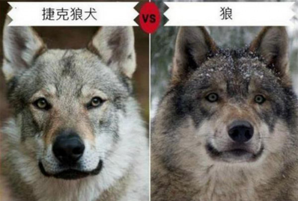 第1張圖片