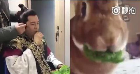 第1張圖片