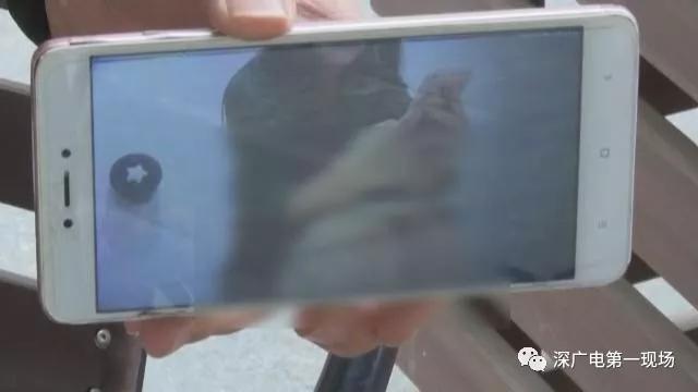 第1張圖片