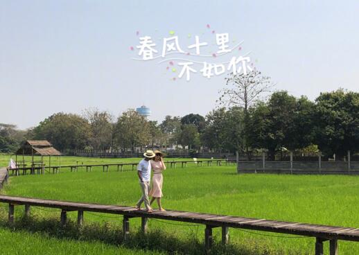 第1張圖片